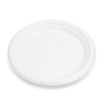 Sugarcane Plate//Pulp Plate/Bagasse Plate/Biodegradable Plate/Green Plate